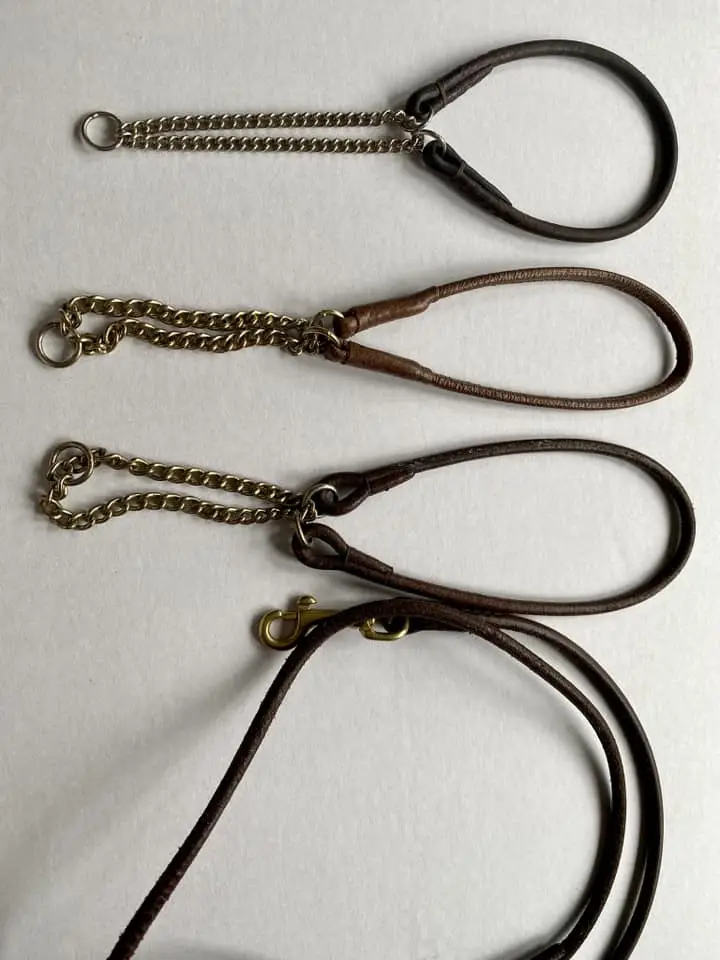Leads