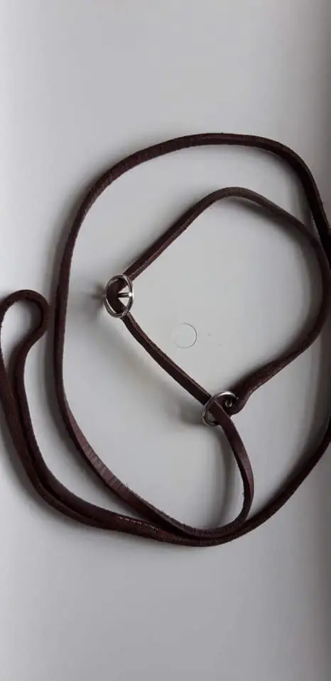 Show dog leads