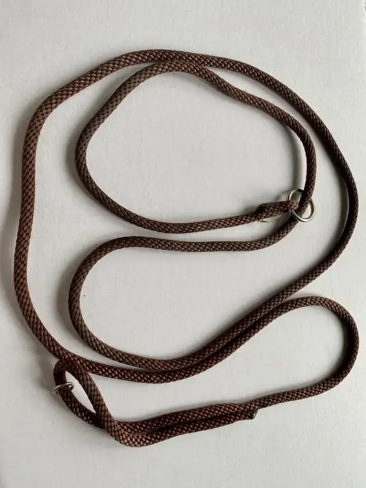 Leads