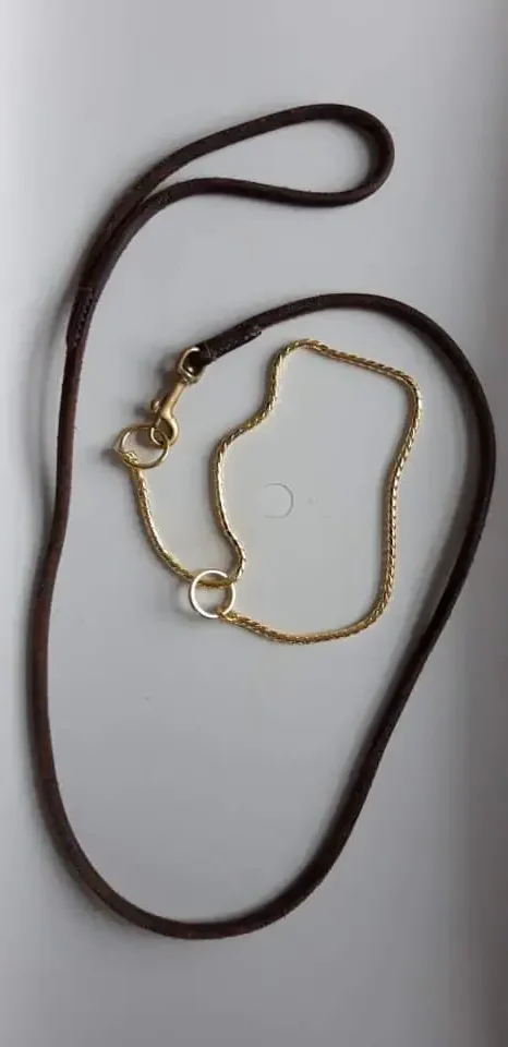 Leads