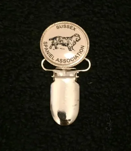 Ring clip