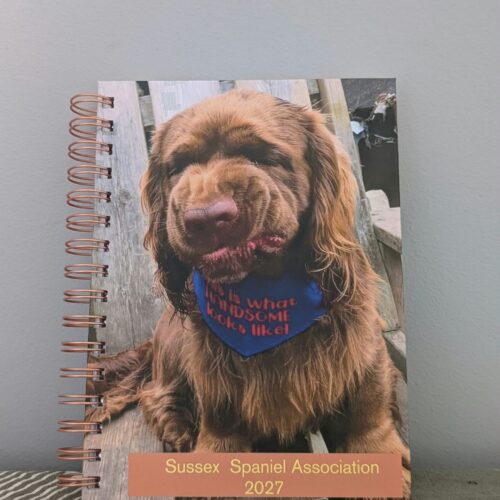 SSA 2027 Diary