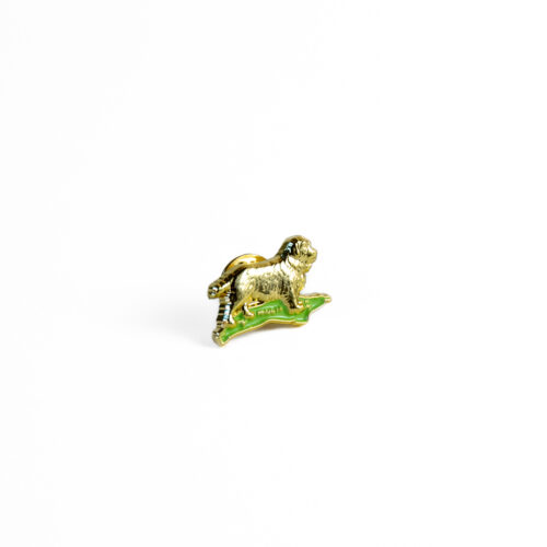 Sussex Spaniel broach
