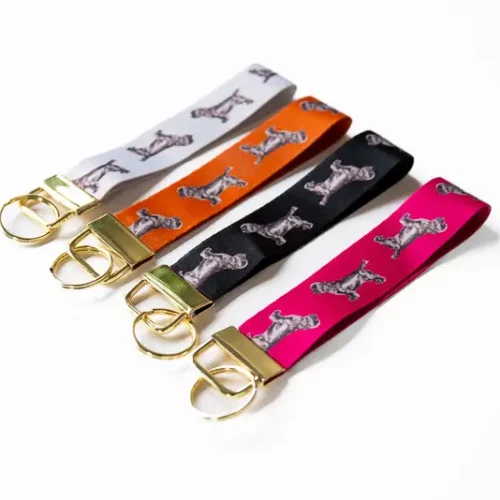Bag Strap