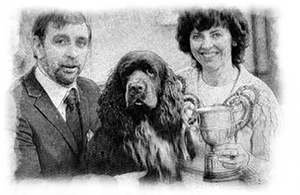 Crufts Gundog group winner