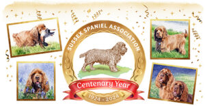 Centenary celebrations image