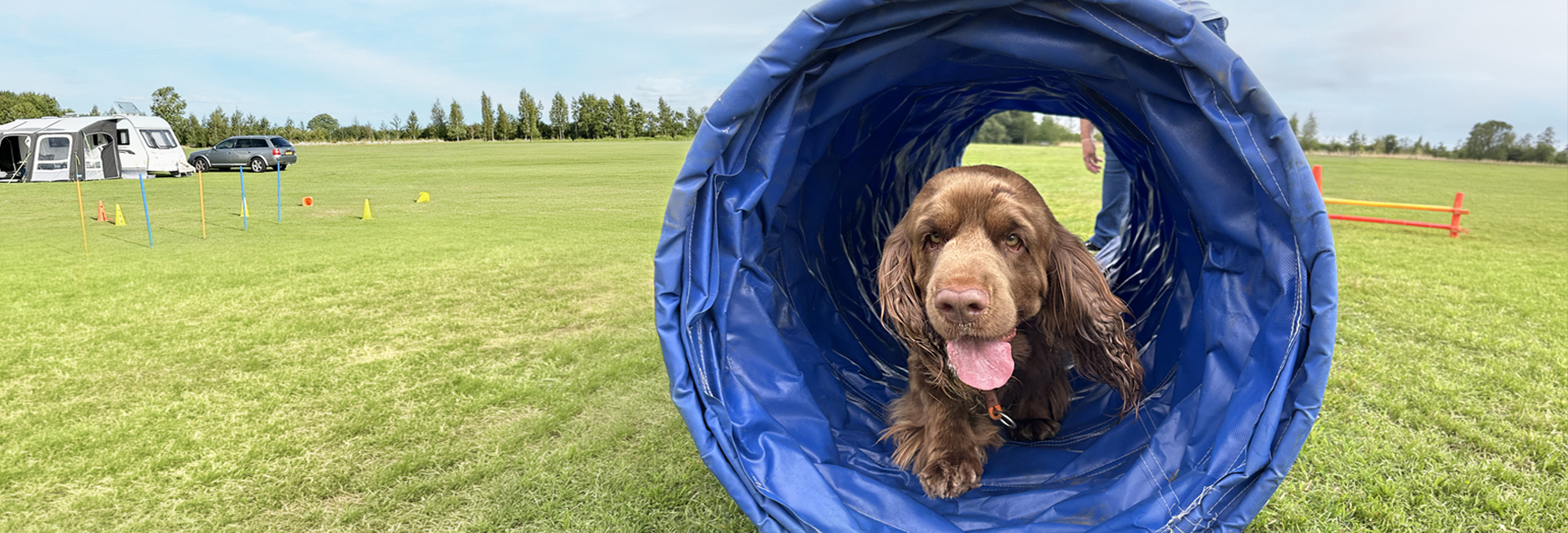Sussex Spaniel Association Fun Day